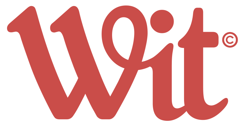 Wit Creativo Ayudas Kit Digital